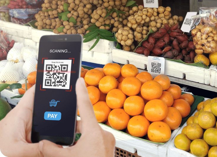 EMV Interoperable QR Code